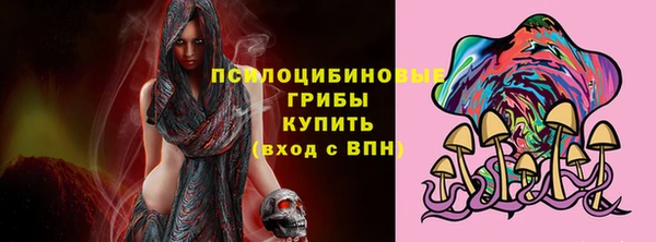 сатива Алексеевка